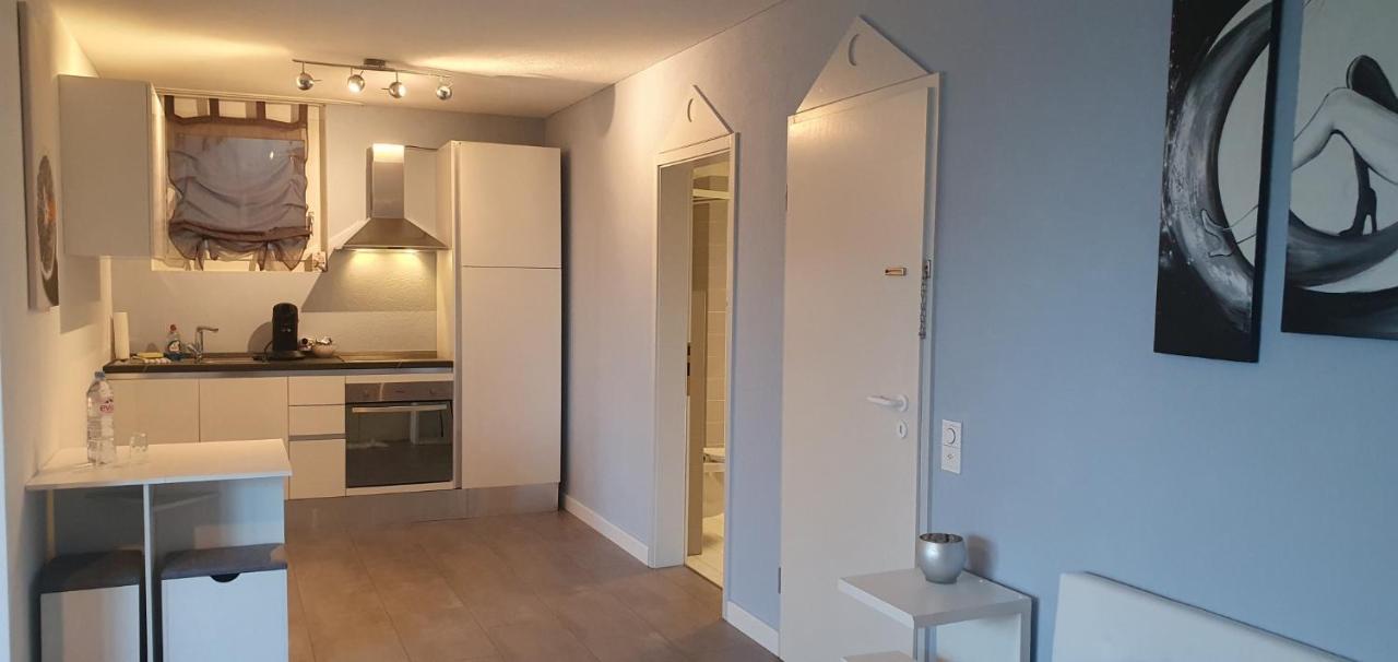 Ferienwohnung Am Bodensee Mit Seesicht Und Wellness Роршахерберг Экстерьер фото
